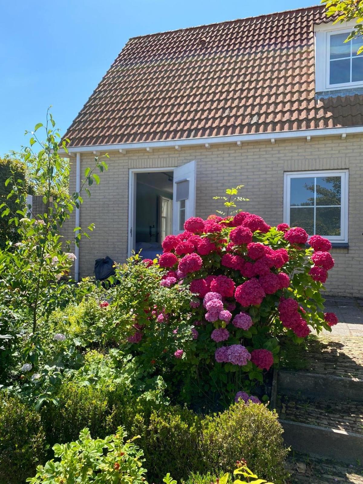 Zeayou Zeeland - Appartementen Brouwerijweg 43 Domburg Εξωτερικό φωτογραφία